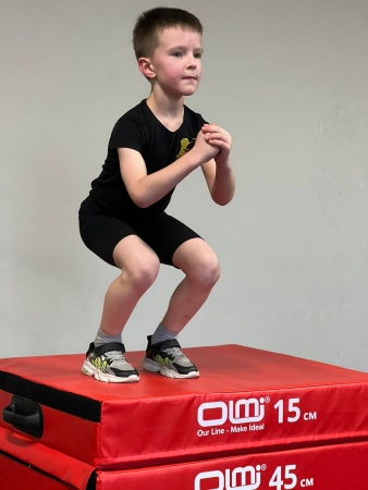 Тумба для запрыгивания | плиобокс OLMI 