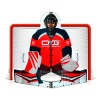 Имитатор вратаря хоккейный тренажер OLMI Goalkeeper  Имитатор вратаря хоккейный тренажер OLMI Goalkeeper